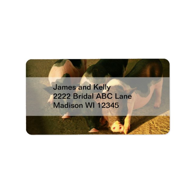 The Three Little Pigs Label (Front)