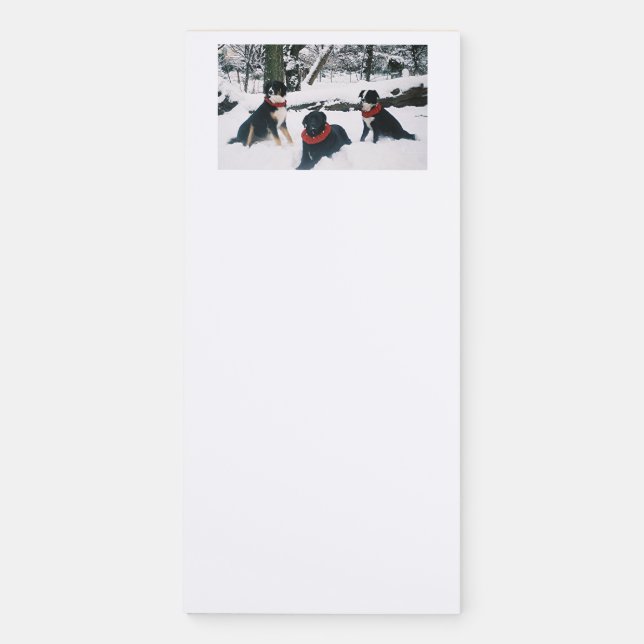 "The Three Musketeers!" Magnetic Notepad (Front)