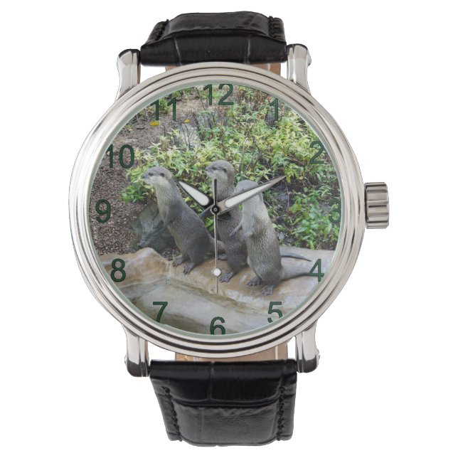 The Three Musketeers: Trio of Small Gray Otters, Watch (Front)