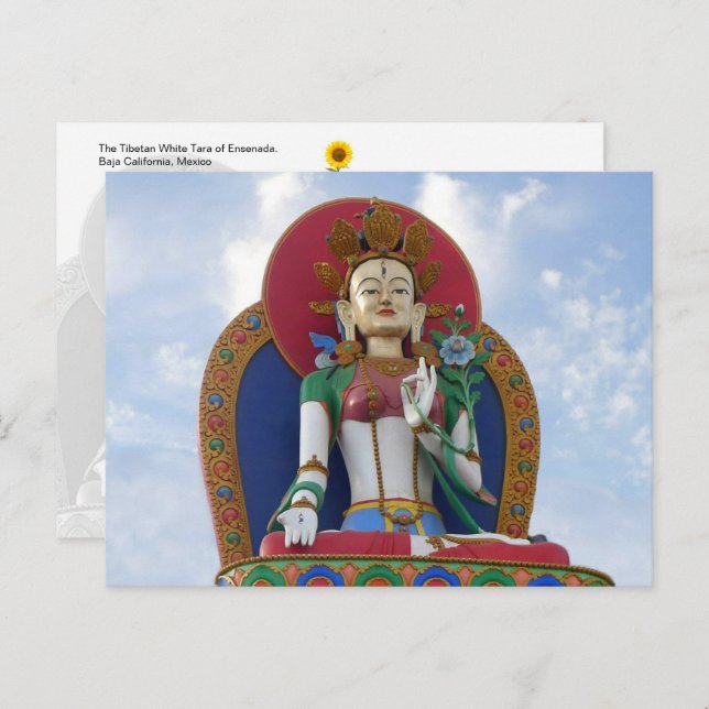 The Tibetan White Tara of Ensenada - postcard (Front/Back)