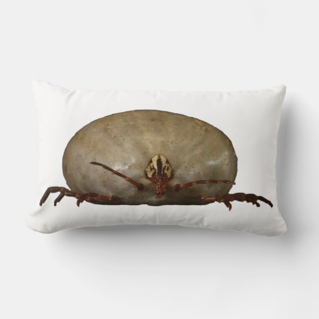 The Tick Lumbar Pillow (Front)