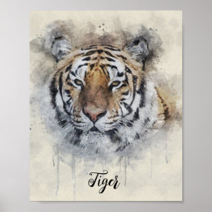 The Tiger Look watercolor illustration Poster