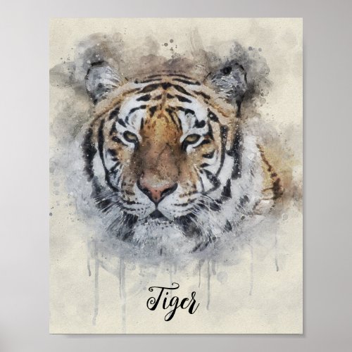 The Tiger Look  watercolor illustration   Poster