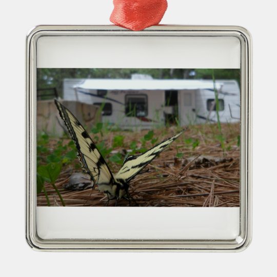 The Tiger Swallowtail Ornament