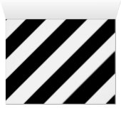 The Tilted Zebra (Inside Horizontal (Bottom))