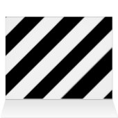 The Tilted Zebra (Inside Horizontal (Top))