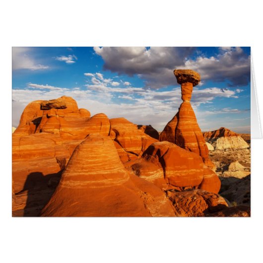 The Toadstools (Front Horizontal)