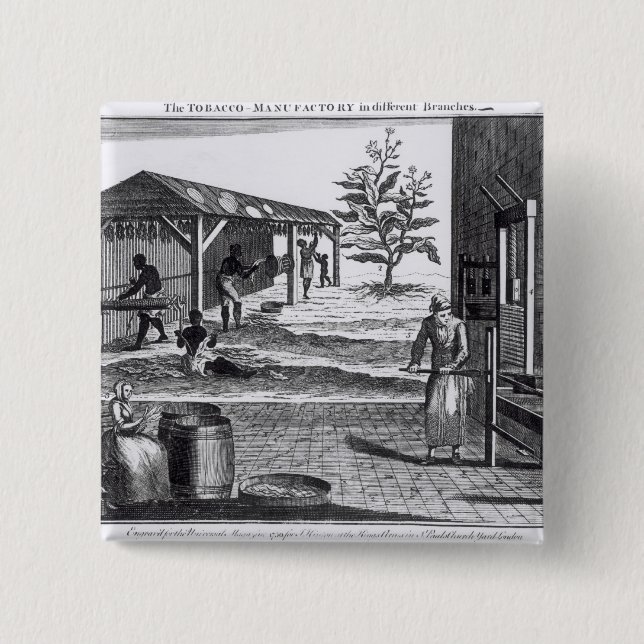 The Tobacco Manufactory in Different Branches Pinback Button (Front)