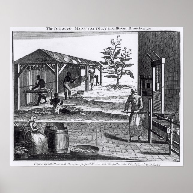 The Tobacco Manufactory in Different Branches Poster (Front)