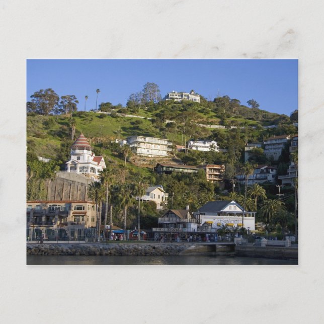 The town of Avalon on Catalina Island, Postcard (Front)