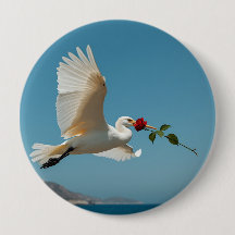 The traveling bird