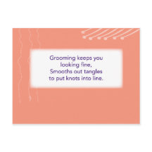 The Treasure Hunt Game - Clue #2 - Hairbrush