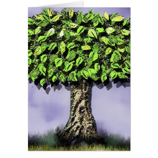 The tree cards (Front)
