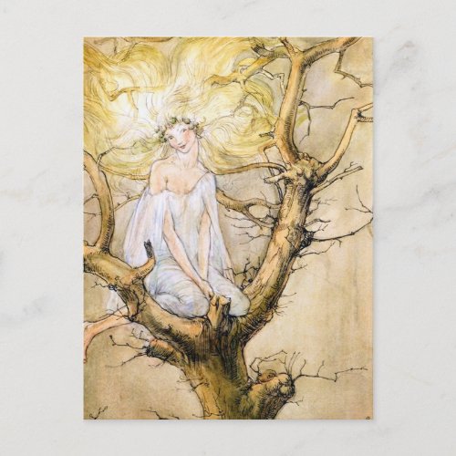 The Tree Fairy Vintage  Postcard