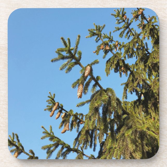 The Tree for Christmas Beverage Coaster (Front)