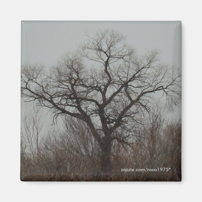 The Tree Magnet (Front)