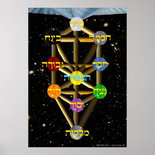 The Tree of Life  Hebrew  All Sizes Poster