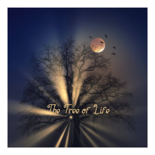 The Tree Of Life _ Moon bats tree sunlight  Photo Print