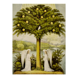The tree of life poster