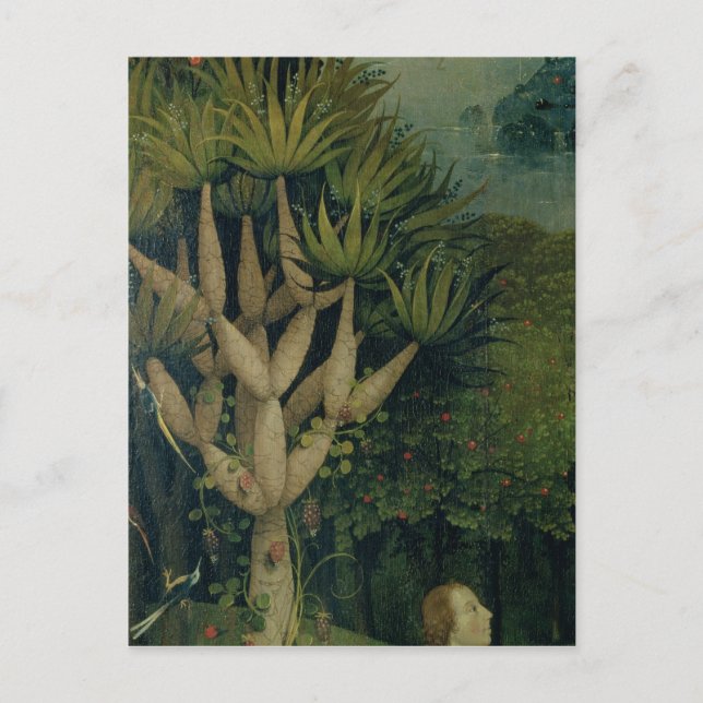 The Tree of the Knowledge of Good and Evil Postcard (Front)