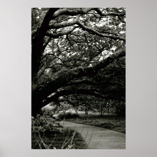 The Tree Poster (Front)