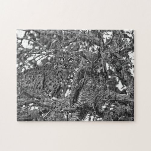 The Trees Have Eyes Bobcat And Owl Jigsaw Puzzle