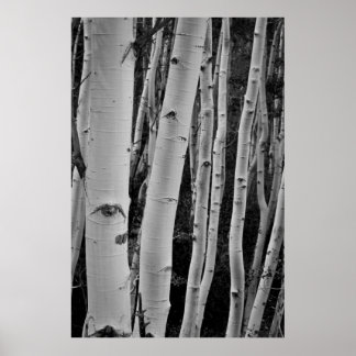 The Trees Have Eyes Poster