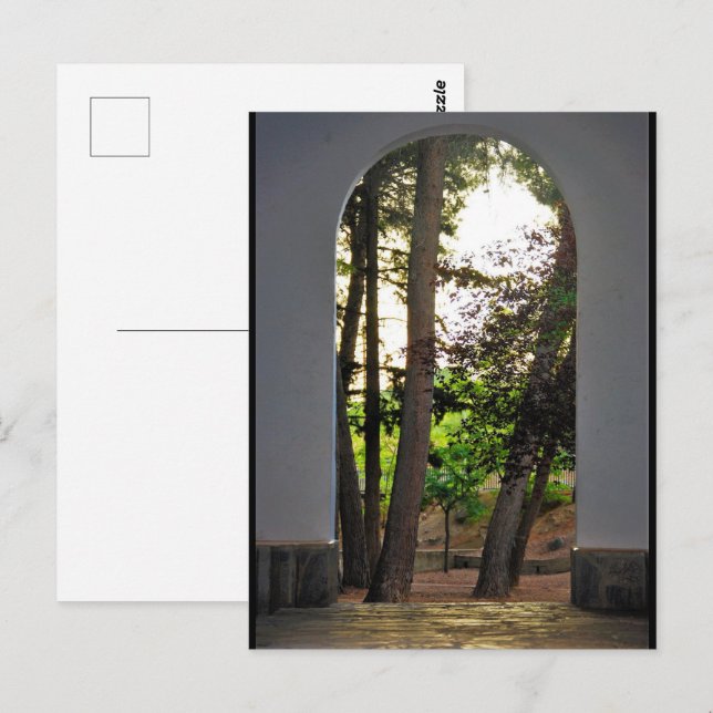 The Trees through the Arch Postcard (Front/Back)