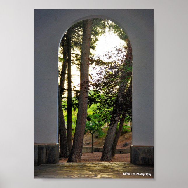 The Trees through the Arch Poster (Front)