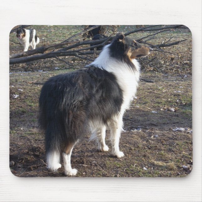 The Tri-color Collie Mouse Pad (Front)