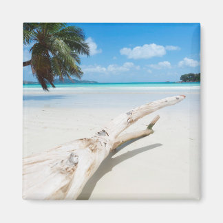 The Tropical Paradise that is The Seychelles Magnet