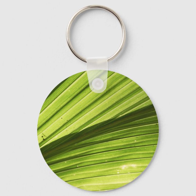 The Tropics Keychain (Front)