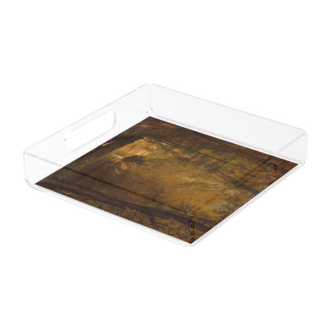The Trout Pool (1870) Artwork - Acrylic Tray (Angled)