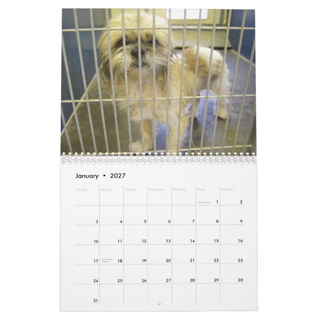 The True Collars of Dogs 2010 Calendar (Jan 2027)