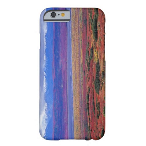 The tundra of Denali National Park in the late Barely There iPhone 6 Case