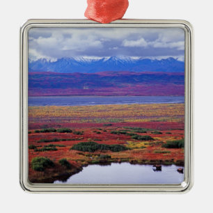 The tundra of Denali National Park in the late Metal Ornament