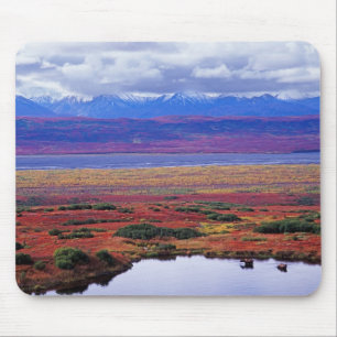 The tundra of Denali National Park in the late Mouse Pad