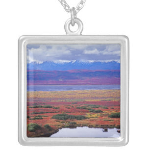 The tundra of Denali National Park in the late Silver Plated Necklace