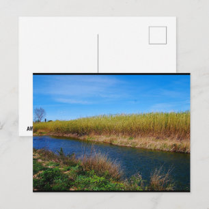 The Túria River Postcard