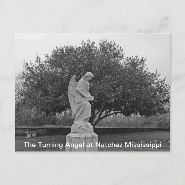 The Turning Angel at Natchez Postcard (Front)