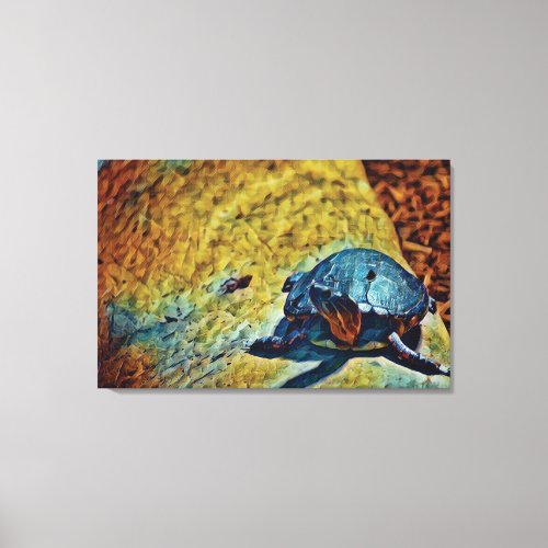 The Turtle  Canvas Print