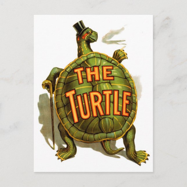 The Turtle Postcard (Front)
