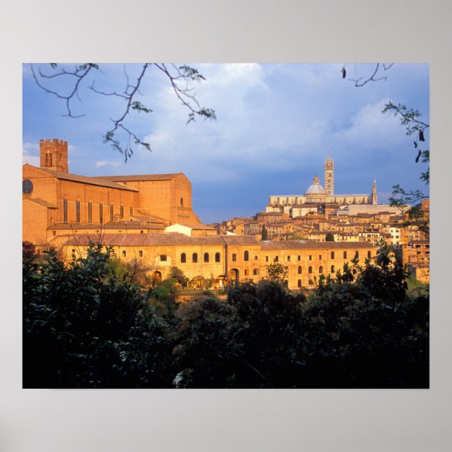 The Tuscan village of Sienna, Italy. Poster (Front)