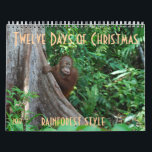 The Twelve Days of Christmas by orangutans Calendar<br><div class="desc">Imagine "The Twelve Days of Christmas" done rainforest style with orangutans! The artist donates her profits on this calendar  to the orangutan Care Center,  home to 350 orphans,  where she volunteers.</div>