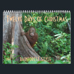 The Twelve Days of Christmas by orangutans Calendar<br><div class="desc">Imagine "The Twelve Days of Christmas" done rainforest style with orangutans! The artist donates her profits on this calendar  to the orangutan Care Center,  home to 350 orphans,  where she volunteers.</div>