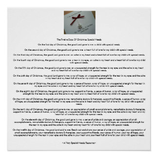 The Twelve Days Of Christmas Special Needs (AVSNR) Poster