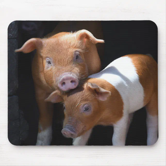 The Two Baby Pigs Mouse Pad | Zazzle