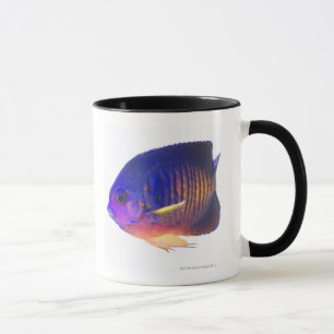The two-spined angelfish mug