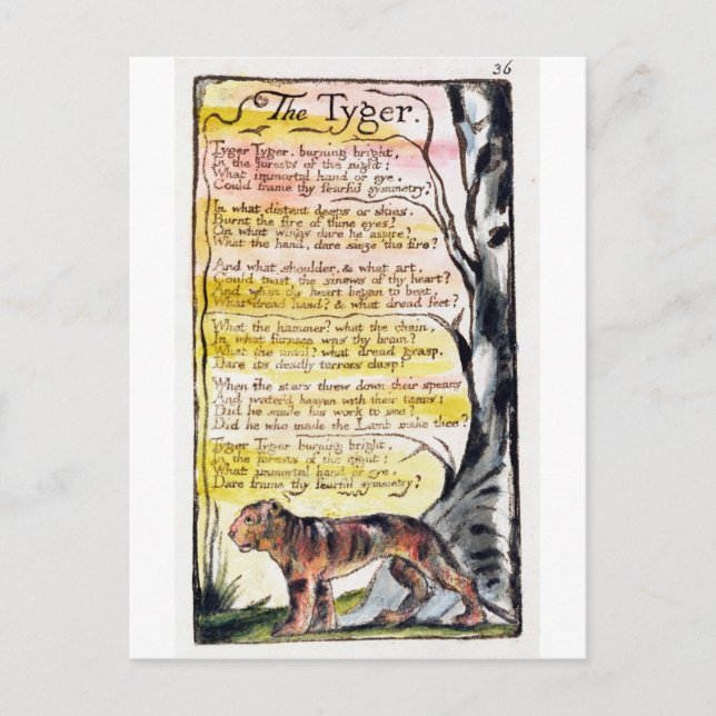 'The Tyger', plate 36 (Bentley 42) Postcard (Front)