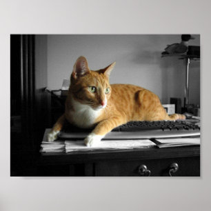 The Typist Poster